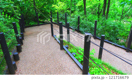 板橋区立赤塚植物園(東京都板橋区赤塚)内の風景 板橋区立赤塚植物園(東京都板橋区赤塚)内の風景 121716679