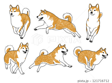 走り回る柴犬の手描きイラスト 121716712