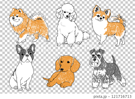 人気の小型犬の手描きイラストセット 121716713