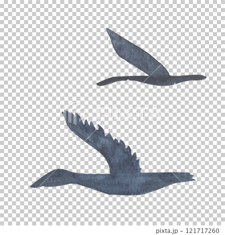 Flying birds, gees set isolated on white. High quality hand-drawn watercolor simple flat illustration for landscapes, scrapbooking, wrapping paper, textile, sea voyage souvenirs decor and design Flying birds, gees set isolated on white. High quality hand-drawn watercolor simple flat illustration for landscapes, scrapbooking, wrapping paper, textile, sea voyage souvenirs decor and design 121717260