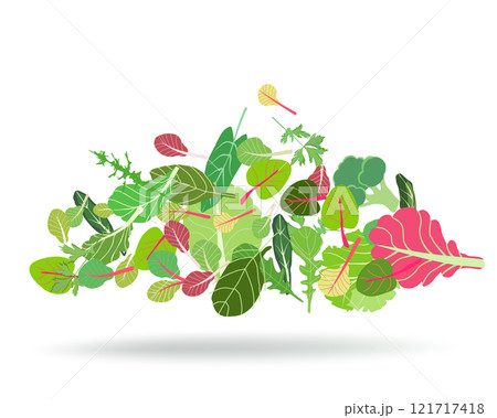 Salad leaf set pattern vector 121717418