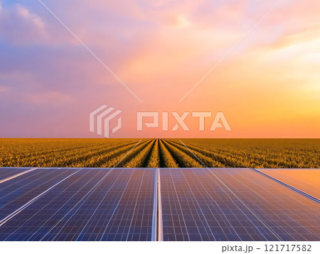 solar farm at sunset with solar panels and fields in background 121717582