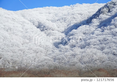 赤城山の霧氷 121717656