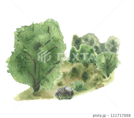 Woodland scenery of green trees, stone on grass watercolor illustration hand drawn. Dense foliage of shrubs backdrop and forest glade isolated. Lush greenery nature sketch painted for landscape design 121717898