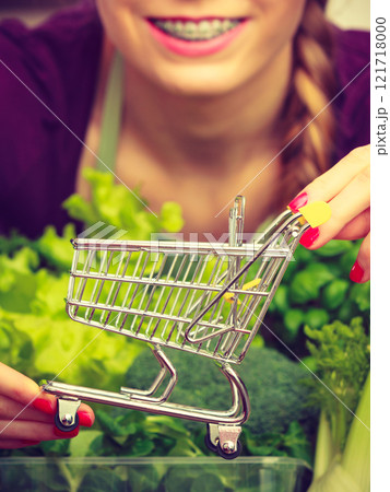 Woman in kitchen having vegetables holding shopping trolley 121718000