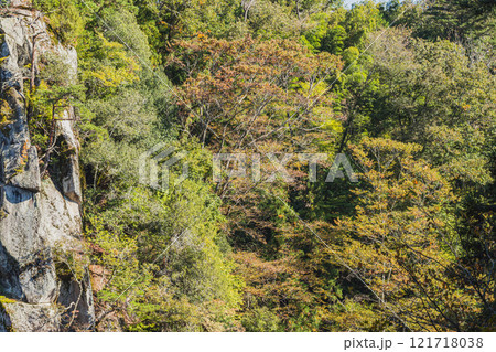 飯田市の名勝天龍峡の龍角峯と紅葉し始めの木々の風景(長野県) 121718038