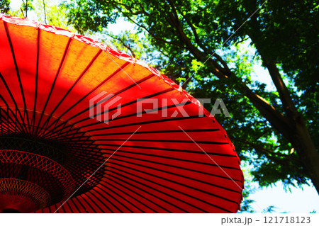 「染谷花しょうぶ園」(埼玉県さいたま市見沼区染谷)の野点の風景 「染谷花しょうぶ園」(埼玉県さいたま市見沼区染谷)の野点の風景 121718123
