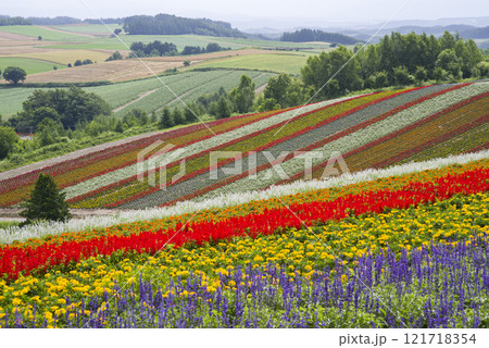 虹色のカーペット 121718354