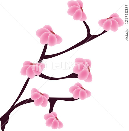 pink cherry blossom 121718387