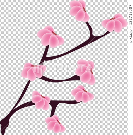 pink cherry blossom 121718387
