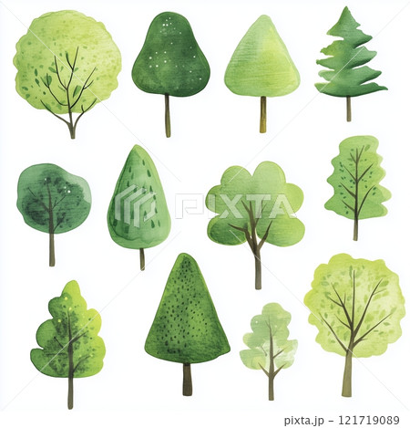 Watercolor green trees isolated on a white background.	 121719089