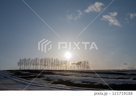 春の雪解けの丘とシラカバ並木 121719188