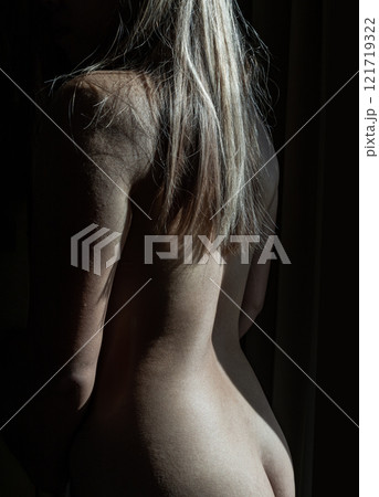 Art of body female in dark a silhouette. Art of body female in dark a silhouette. 121719322