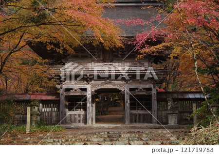 大矢田神社もみじ谷の紅葉 大矢田神社もみじ谷の紅葉 121719788