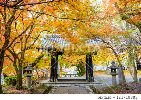秋の秋月城跡　黒門　福岡県朝倉市 121719885