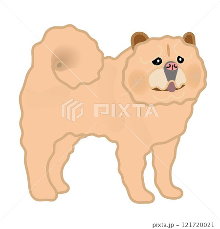 チャウチャウ犬のイラスト チャウチャウ犬のイラスト 121720021