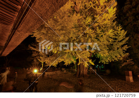 新宮熊野神社 長床 121720759