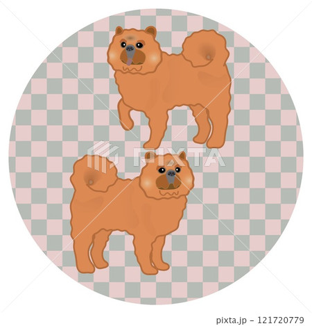 円形背景のついたチャウチャウ犬のイラスト 円形背景のついたチャウチャウ犬のイラスト 121720779