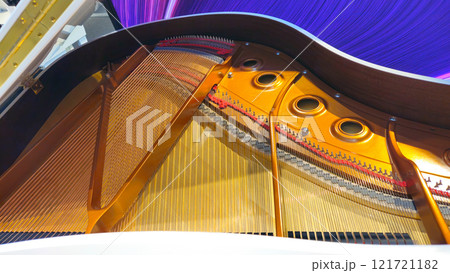 Grand piano 121721182