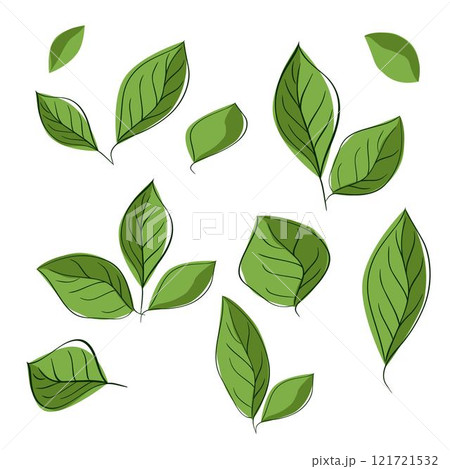 Set of graphic line leaves silhouettes. Vector Hand drawn floral design elements, icons, shapes. Wild and garden leaves outline illustrations isolated on white transparent background Set of graphic line leaves silhouettes. Vector Hand drawn floral design elements, icons, shapes. Wild and garden leaves outline illustrations isolated on white transparent background 121721532