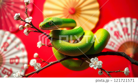 The symbol of the new year 2025 is a green snake on a red background, Chinese New Year 121721571