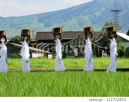 阿蘇神社の御田祭り 水田を行進する白装束の女性達のうなり (熊本県阿蘇市) 阿蘇神社の御田祭り 水田を行進する白装束の女性達のうなり (熊本県阿蘇市) 121722853