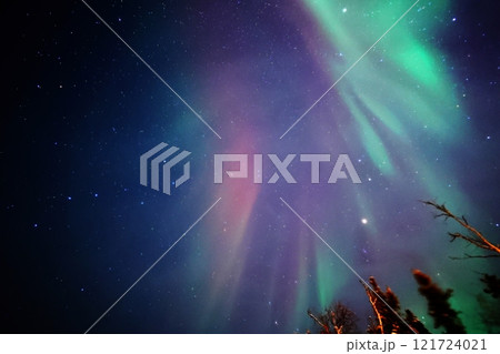 オーロラの世界を見ながら未来を感じる 121724021