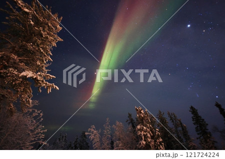 オーロラの世界を見ながら未来を感じる 121724224