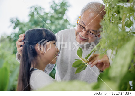 Asian young attractive girl and grandfather standing beside a green potted plant at home held, World Environment Day concept 121724337
