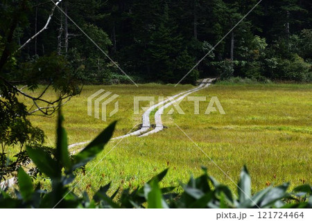 草紅葉をたどる道 草紅葉をたどる道 121724464