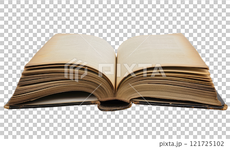 Old Book 121725102