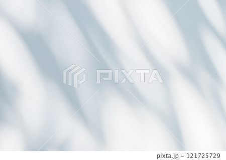 Abstract natural tree leaves shadow on white wall background 121725729