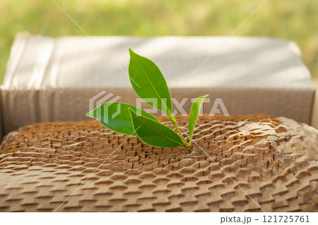 Green leaf on eco friendly brown paper honeycomb wrap for product packaging parcel carton box 121725761