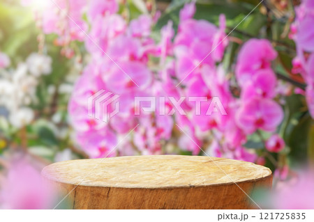 Empty old tree stump table top with blur orchid garden background for product display 121725835