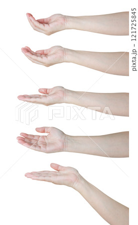 Woman hand gesture holding something set isolated on white background Woman hand gesture holding something set isolated on white background 121725845