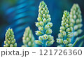 Green and blue plant stalks blooming under soft light in a lush garden setting 121726360