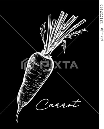 Carrot hand drawn black and white vector illustration 121727140