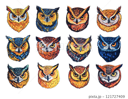 Colourful Owl Portrait Collection Hand Drawn Style On White Background Unique Artwork Vibrant Design Creative Illustration Animal Portraits Artistic Nature Inspired Decorative 121727409