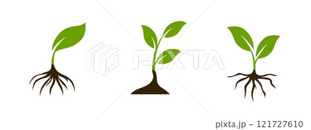 Leaf and root icon symbolizing organic agriculture and eco products. Leaf and root icon symbolizing organic agriculture and eco products. 121727610