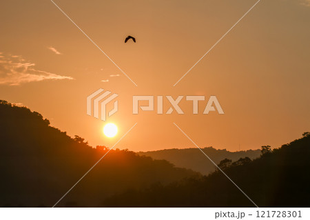 Sunset Over Mountains with Bird in Flight, Wulai, New Taipei City, Taiwan. Sunset Over Mountains with Bird in Flight, Wulai, New Taipei City, Taiwan. 121728301