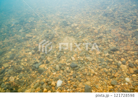 琵琶湖の水中の風景 121728598