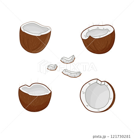 Coconut broken into several pieces showing inner flesh and shell clearly at various angles. Isolated vector illustration. 121730281