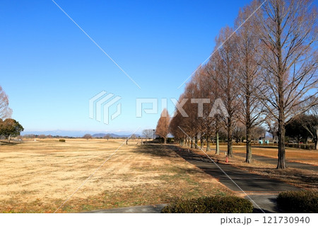 渡良瀬遊水地・子供広場ゾーンのメタセコイア並木 渡良瀬遊水地・子供広場ゾーンのメタセコイア並木 121730940