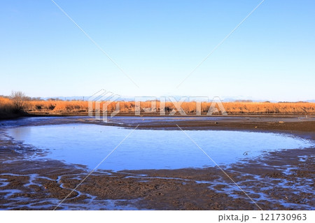 渡良瀬遊水地 121730963