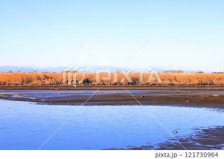 渡良瀬遊水地 121730964
