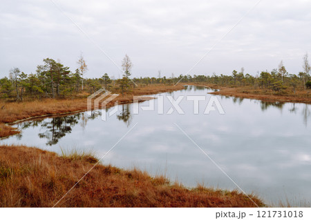 Scenic view of wooden trail through wetlands. Hiking trail for active recreation. 121731018