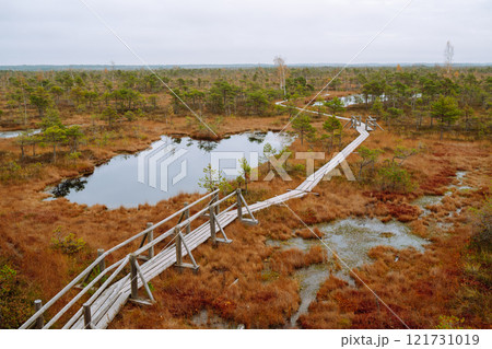 Scenic view of wooden trail through wetlands. Hiking trail for active recreation. 121731019