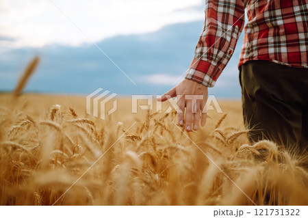 Silhouette of gronomist farmer in golden wheat field. Agricultural growth. farming business concept 121731322