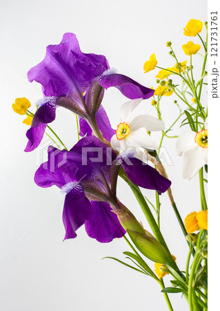 Bouquet of spring flowers, irises and yellow ranunculus with white daffodils 121731761