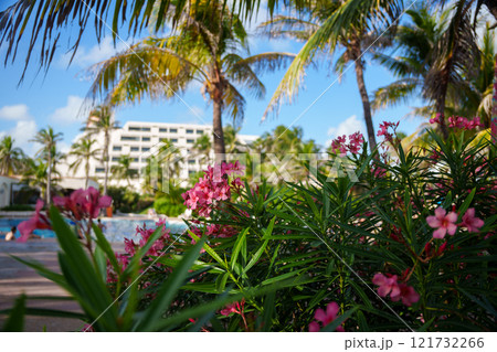 A stunning tropical paradise featuring swaying palm trees and vibrant, colorful flowers 121732266